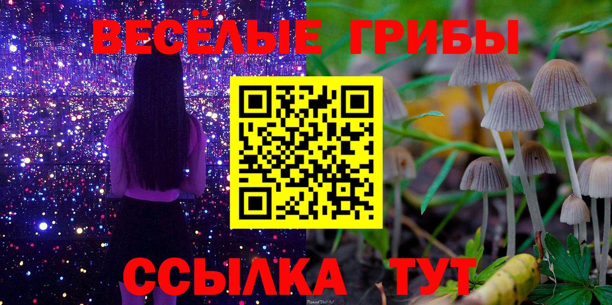 Псилоцибиновые грибы GOLDEN TEACHER Шадринск