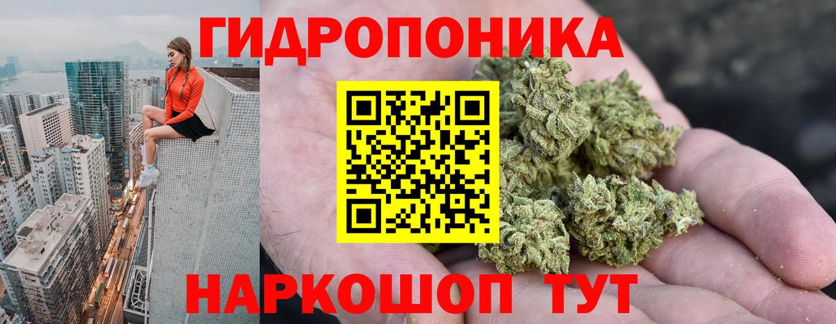 Бошки Шишки индика  Вход с VPN  Канабис планчик  Шадринск  Бошки марихуана AK-47 